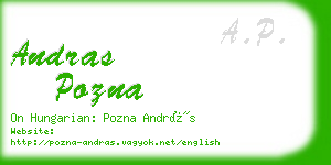 andras pozna business card